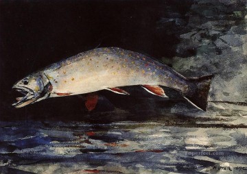 Una acuarela de trucha de arroyo Winslow Homer Pinturas al óleo